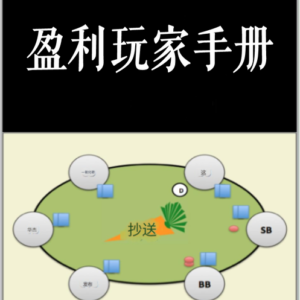 憨氏翻译解读：《盈利玩家手册 》附全本翻页电子书，本书AI答疑解惑